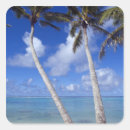 Search for cook island stickers Nobody