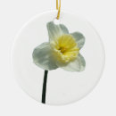 Search for daffodil christmas tree decorations Narcissus