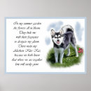 Search for alaskan art Alaskan klee kai