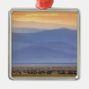 Search for tanzania christmas tree decorations Adam jones