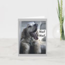Search for funny cocker spaniel cards Photography