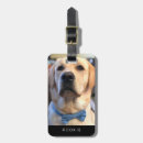 Search for photo luggage tags Puppy
