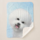 Search for bichon frise blankets Puppy