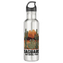 Search for cactus water bottles Saguaro