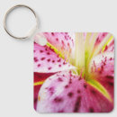 Search for stargazer key rings Lily