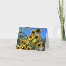 Search for sun note cards Summer
