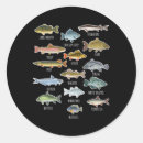Search for species stickers Ocean