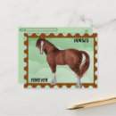 Search for horse postcards Landscape