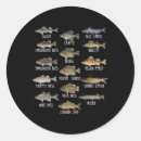 Search for freshwater fish stickers Animal