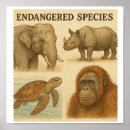 Search for rhinos posters Endangered species