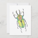 Search for bug art cards Insect