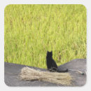 Search for paddy stickers Green