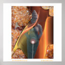 Search for crystals posters Inspirational