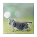 Search for selective focus tiles Consumerproduct