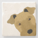 Search for airedale barware Terriers