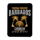 Search for barbados magnets Summer
