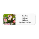 Search for still life return address labels Vincent van gogh