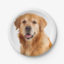 Search for golden retriever with cake Party