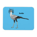 Search for secretary magnets Bird