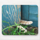 Search for cat tail mousepads Feline