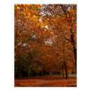 Search for fall tree posters Landscape