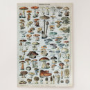 Search for edible puzzles Nature