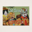 Search for tms Cat