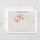Search for rosebuds Illustration