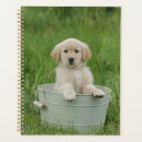 Search for bath office supplies Animal