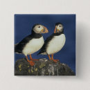 Search for pair badges Wildlife