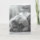Search for french bulldog thank you cards Pet