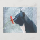 Search for with black postcards Antique