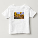 Search for natural world tshirts County