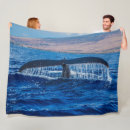 Search for humpback whale blankets Ocean