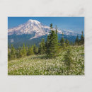 Search for avalanche postcards Superstock