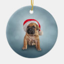 Search for cane corso christmas tree decorations Cute