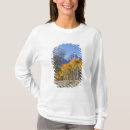 Search for teton range Autumn