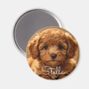 Search for dog magnets Minimalist