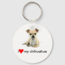 Search for chihuahua accessories Puppies