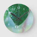 Search for green leaf clocks Nature