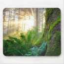 Search for tree trunks mousepads Woods