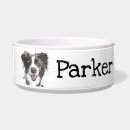Search for borders pet supplies Illustration