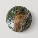 Search for red tailed hawk badges Wildlife