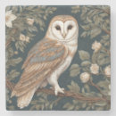 Search for owl with glasses Bird