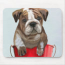 Search for two animals electronics Puppy