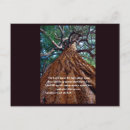 Search for beautiful quote postcards Nature