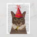 Search for tortoiseshell Cute pets
