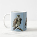 Search for osprey coffee mugs Birds of prey