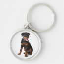 Search for rotweiller accessories Dog