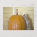 Search for 0 postcards Horizontal